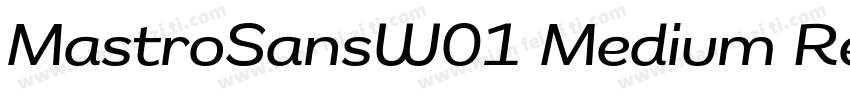 MastroSansW01 Medium Regular字体转换